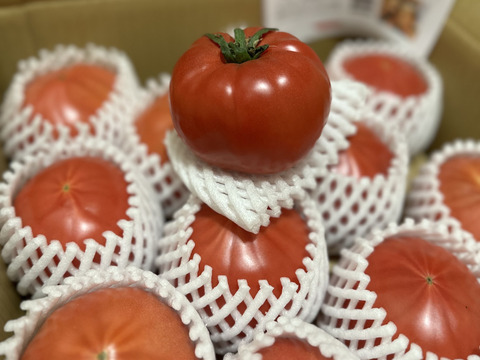 【こだわり土耕栽培】濃厚な愛情と旨み！こてらんねぇトマト M〜Lサイズ(約3kg 入り)