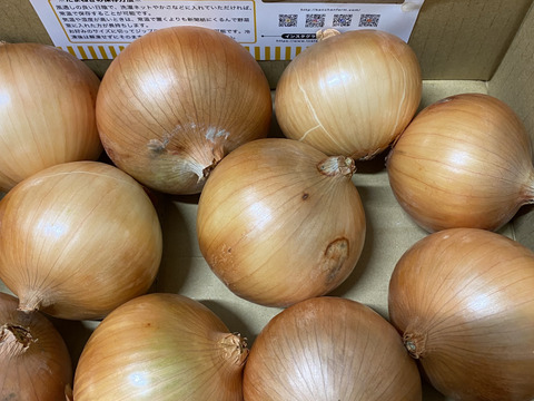 【お陰様でリピーター様多数！】淡路島玉ねぎ「中生種」３kg　特別栽培　ひょうご安心ブランド認証取得