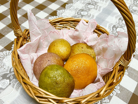 モチモチ美味しい高野山麓精進野菜入り玄米パン