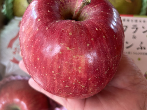 【冬ギフト】ラフランスとサンふじ大玉3キロ詰め合わせ【のし対応します！】