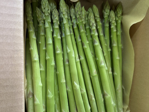 桃川農園｜初夏の甘みたっぷりグリーンアスパラガス（みどり認定野菜・太物中心）2kg