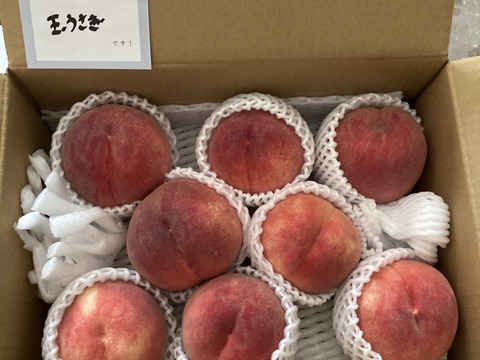 【ちょっと追加】我が家に2本【玉うさぎ】！3㎏