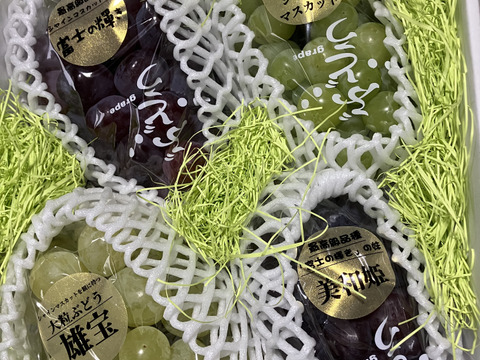 超高級4種親子食べ比べセット！富士の輝、美和姫、雄宝、シャインマスカット入！