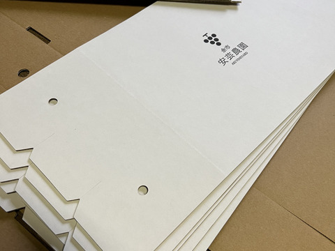 《大人気商品》秀品規格 農薬５０％カット栽培 ＋ 化学肥料未使用！　北海道産シャインマスカット