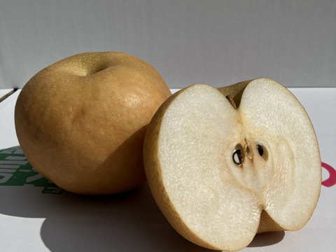 【農業一筋57年！】信州産の美味しい梨　南水5kg