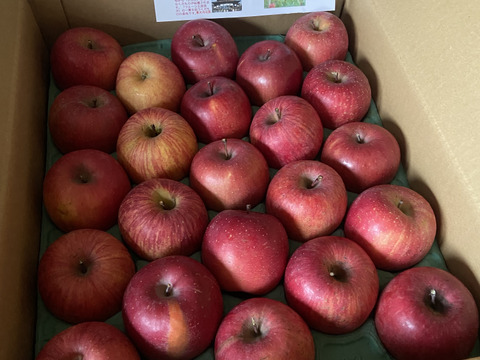 かわいい完熟サンふじ　「小玉ちゃん」　丸かじりサイズ　5キロ箱コース（18個から23個入り）ご好評販売中