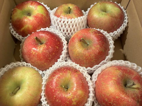 【🍎サンふじ】 大玉8個 (3㎏・家庭用)