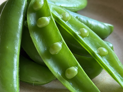 スナップえんどう｜豆まで甘い春の味 五島産 80g×5p 使い切りタイプ