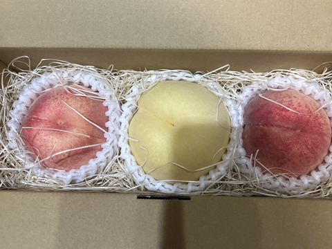 【ザワつく!金曜日】出演で話題☆🍑一流レストラン御用達桃🍑"祝"産直受注1万件突破！！【お中元ギフト】自分ご褒美にレストラン御用達もも1kg【お試し特価キャンペーン】🍑2027年8月上旬予約🍑