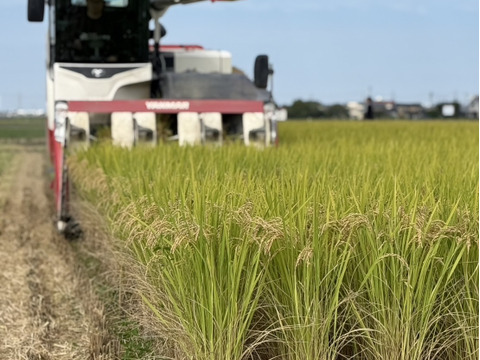 【令和7年産新米】新潟県産コシヒカリ精米5kg