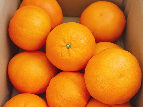 驚きの美味しさあすみ