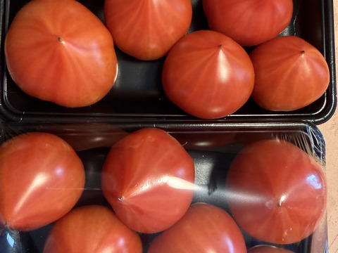 【完熟】あいちの伝統野菜『ファーストトマト』2箱約2kg　【母の日ギフト】にもぴったり！