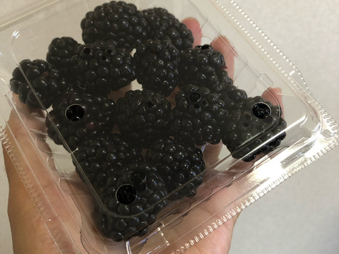 とってもジューシー！フレッシュオーガニックブラックベリー 100g×8パック