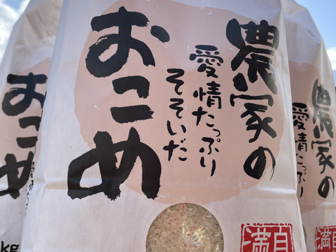 【新米】北海道米ななつぼし白米(5キロ)
