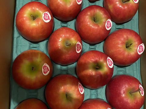 キュンとくる酸味りんご❗　ピンクレディー®（12個から16個）箱含め3キロ