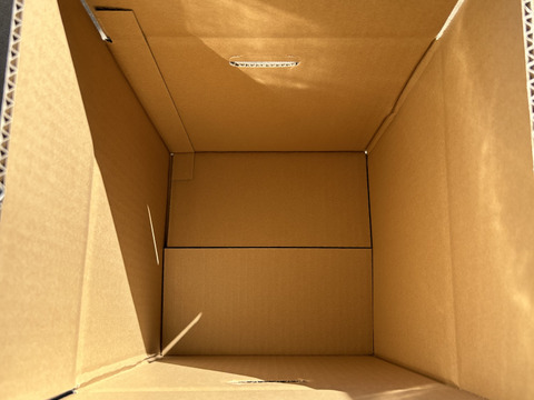 金色羅皇（こんじきらおう）7〜8kg