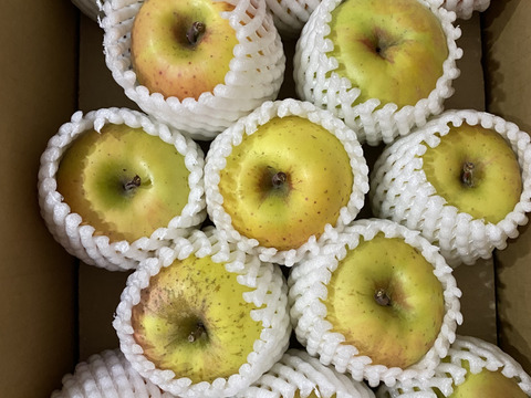 🍏青森りんご🍏　規格外品『黄金ふじ』約３Kg　９～１５個入り
