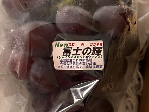 【最新品種・限定生産】　高級ぶどう　富士の輝　父はシャインマスカットです！