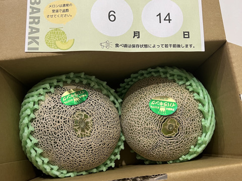 【糖度満点イバラキング】                                   口の中でとろけて飲める果実🍈