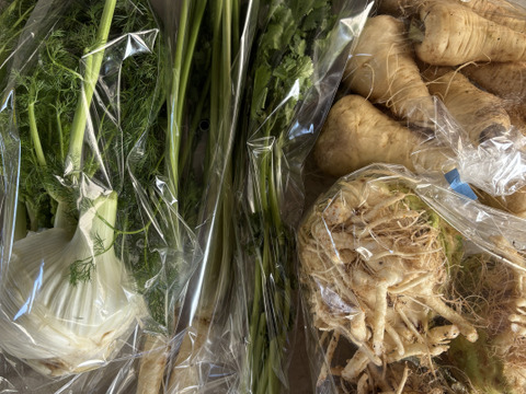 野菜詰め合わせ