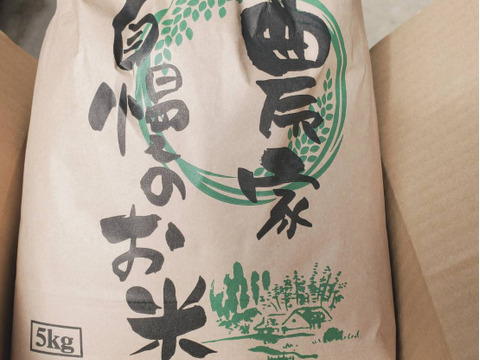 【新米令和７年産！】ヒノヒカリ10kg