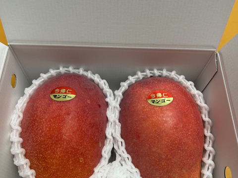★数量限定★沖縄県産 完熟マンゴー1kg（2~3玉）！