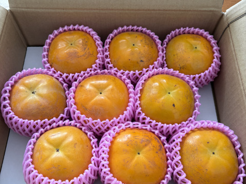 【 赤字覚悟！太秋普及企画】太秋柿 小玉 3kg  サクサク、甘々