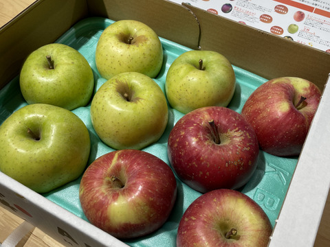 【特別栽培りんご】ふじ🍎🍏王林セット3kg  ギフトにもおすすめ🎁贈答用✨低農薬 りんご食べ比べ