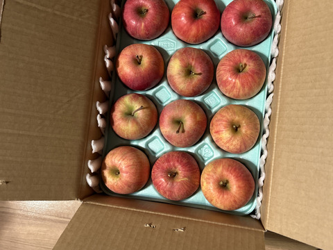 すぐ発送！蜜入りチェック済！3キロ10-13玉葉取らず農薬半減栽培樹上完熟蜜入サンふじ　蜜ライトにて光を通すかチェックします！　りんご