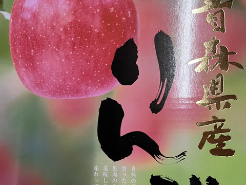 【数量限定・化粧箱入】 青森県産りんご「ぐんま名月」 約3kg　中玉【光センサー選果・冬ギフト】