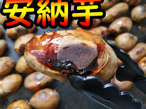 【本場】安納芋【黄金】2Sサイズ 5kg 完熟！ねっとり！【種子島産】