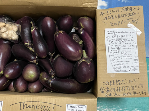 オーガニック加茂ナス・真黒茄子おまかせMIX🍆 5kg Organic