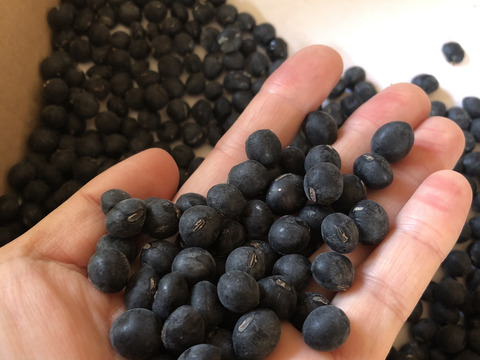 おせちに！健康食に！丹波篠山黒大豆200g