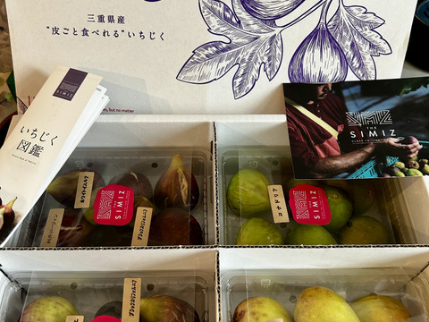 THE FIG ～皮ごと食べれるいちじく～