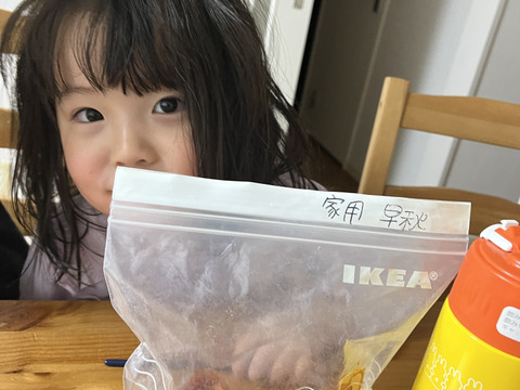 早秋柿のドライフルーツ