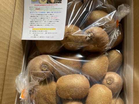 ビタミンたっぷりキウイふる～つ　家庭用Mサイズ４Ｋ【品種ヘイワード】