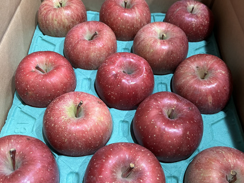 【販売中！人気商品】青森県産りんご「サンふじ」家庭用 キズ有 約10kg(5kg×2箱) 【美味・光センサー選果済】