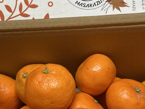 最短発送📦【約５キロ】 ☀️原口みかん☀️