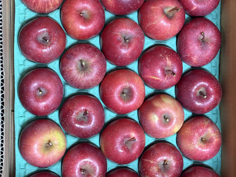 ⚠︎1月7日から発送🍎りんごグランプリ2025最高金賞1位🎊  サンふじ 5キロ箱小玉 食べきりサイズ20〜33玉程度 ID56576 長野県 信州 安曇野 リンゴ 幻 予約 旬 甘い