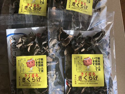 熊本県人吉産🐻4袋 x S20g 乾燥きくらげ たっぷり ポスト投函【20g×4袋】(熊本県産・人吉)