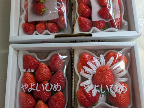 大粒も小粒も食べた～い💞やよいひめ『群馬いちご』320g×4トレー
