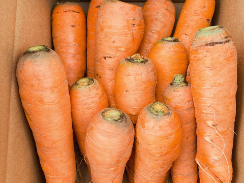 芳醇な香りのにんじん！アロマレッド2kg