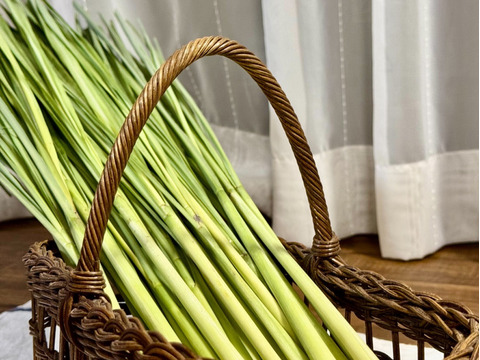 【沖縄県産、摘みたて出荷】レモングラス500g