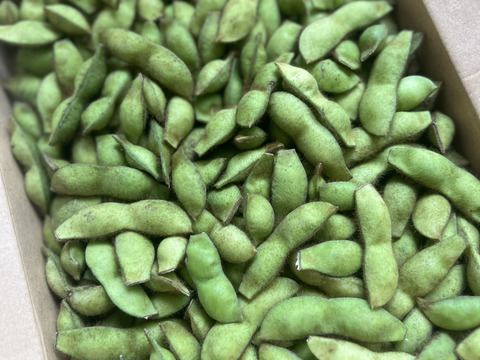 【自然栽培】丹波黒枝豆 サヤのみ1kg★農薬・肥料不使用｜旬の兵庫県産えだまめ