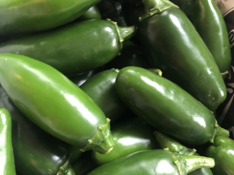 【栽培期間中農薬不使用】糸島産☆ハラペーニョ（1キロ）