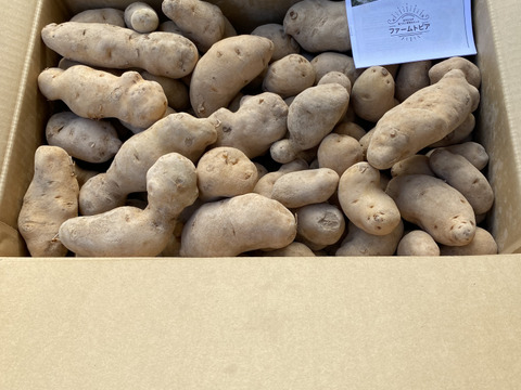 【訳あり】北海道産メークイン20キロ