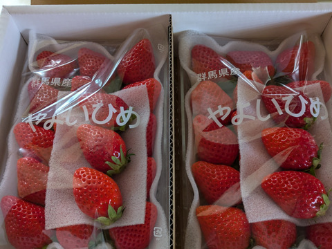 🎶ちょっぴり小粒🎶やよいひめ『群馬いちご』320g×4トレー