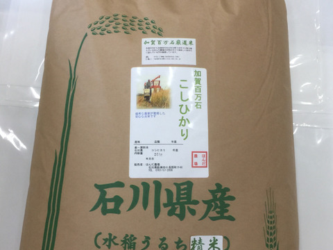 ブランドバッグ通販サイト 令和5年産 石川県産 30kg：石川県産のお米 白米 厳選コシヒカリ U.S., Millet And Flour