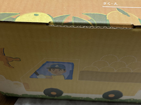 【先行予約】リピーター様続出♪甘くてジューシー♪まーくん家の完熟みかん お試し2キロ箱
