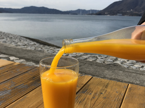 【贈り物にも♪】柑橘ジュースセット(みかん・まどんな・レモン)